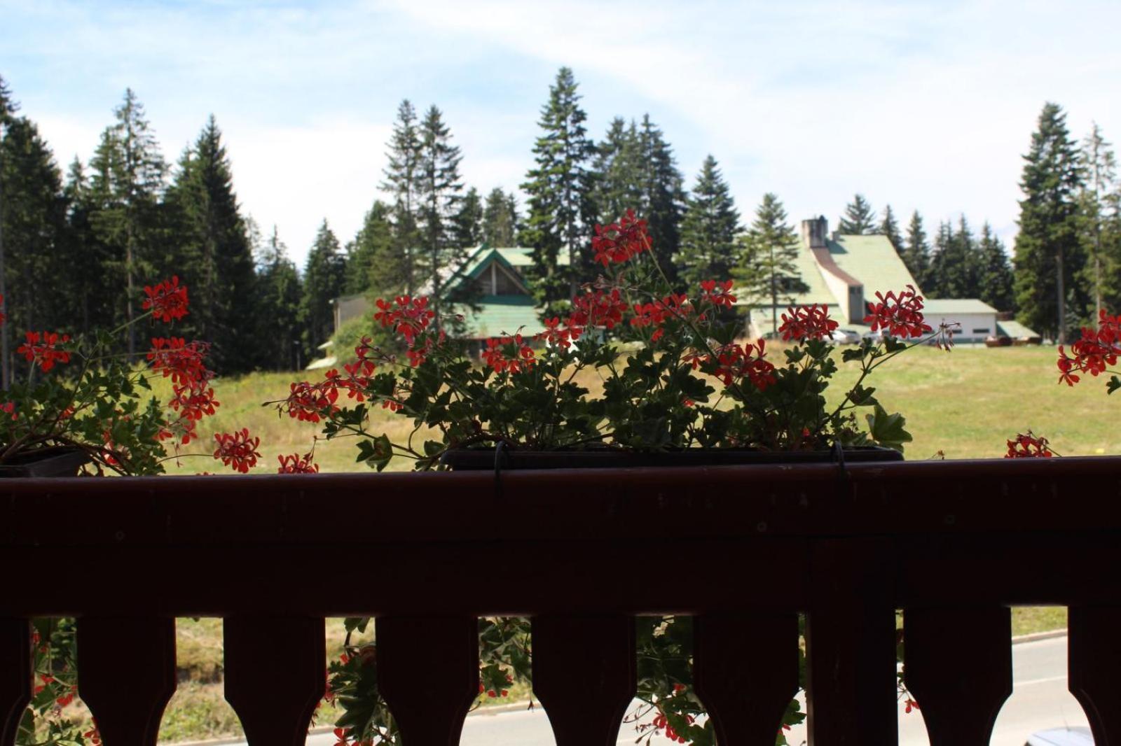 In Hotel Zlatar Ex Zlatarski Biseri Nova Varoš Esterno foto