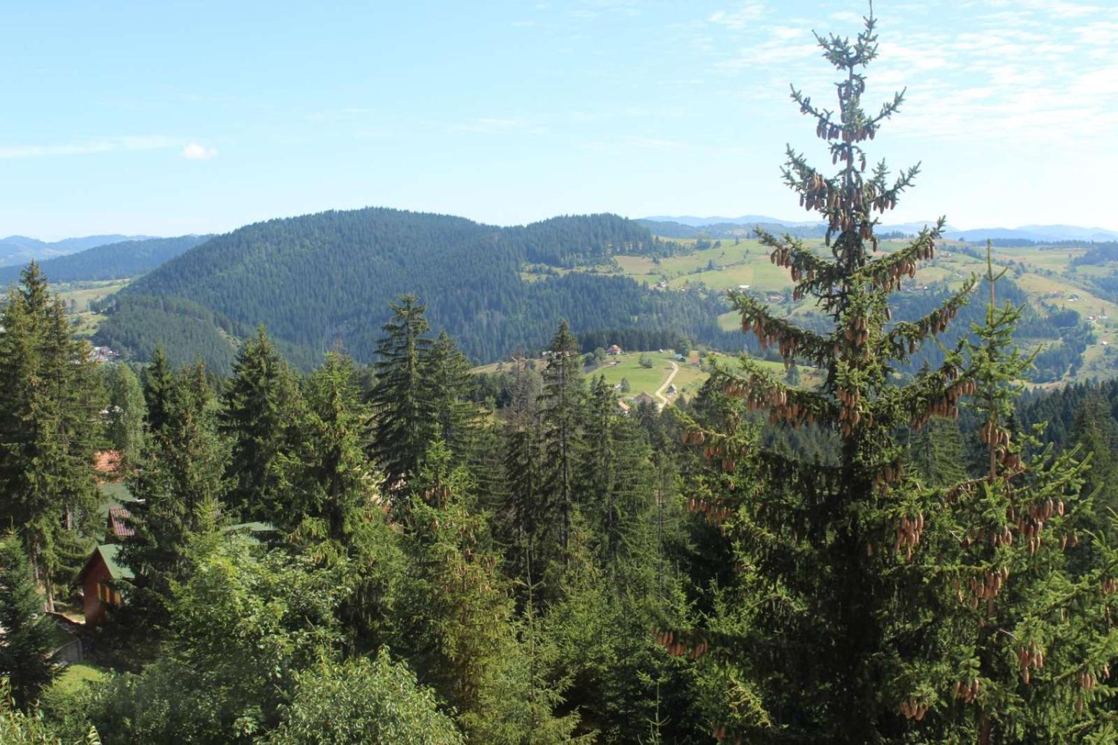 In Hotel Zlatar Ex Zlatarski Biseri Nova Varoš Esterno foto